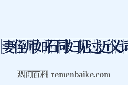 妻侄师如石同妇见过近义词是什么意思的图片